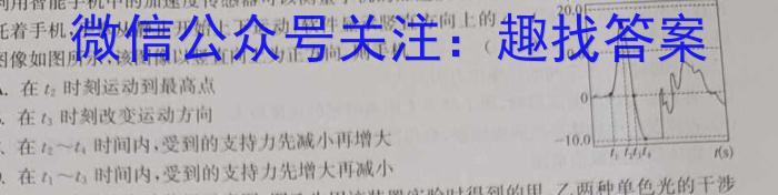 江西省2024届九年级第七次阶段适应性评估［PGZX］物理`