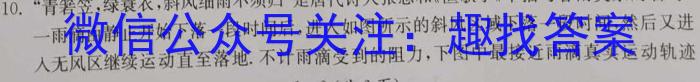 全国名校大联考·2024-2025学年高三第一次联考（月考）物理试卷答案