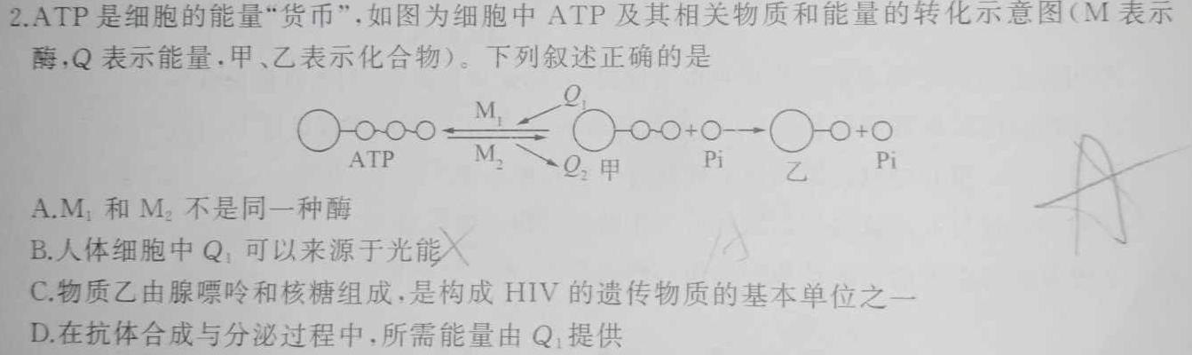 安徽省2023~2024学年度七年级教学素养测评 △R-AH生物