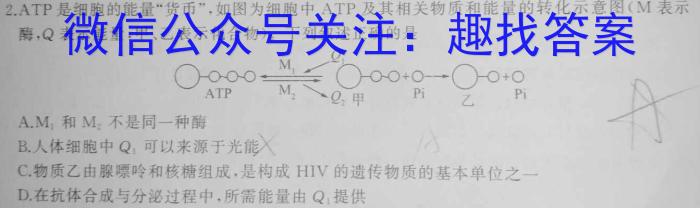 九师联盟2023~2024学年高一教学质量检测(6月)生物学试题答案