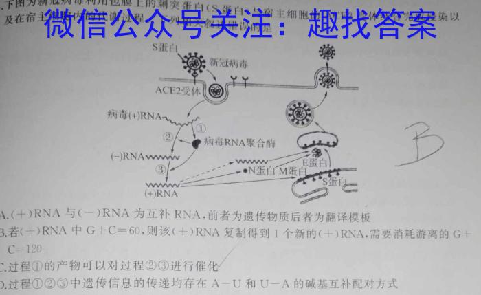 黑龙江2023~2024学年度高三年级第二次模拟(243588Z)生物学试题答案