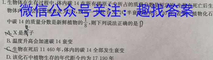 江西省2024年中考模拟示范卷（二）物理