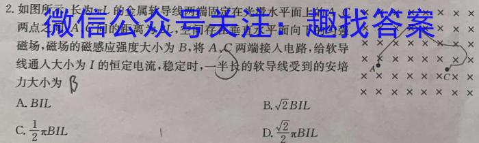 [绥化二模]黑龙江绥化市2024届高三4月联考模拟检测卷物理试卷答案