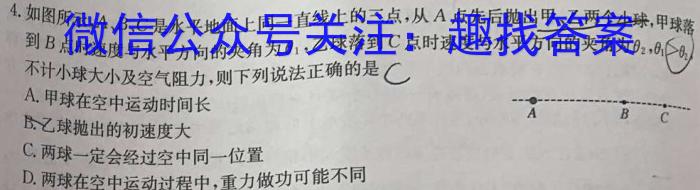 安徽省2024年九年级质量调研检测(一)h物理