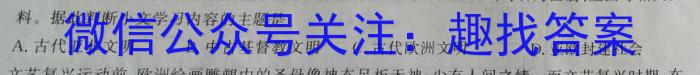 安徽省2024届九年级毕业班第一次模拟考试卷历史试题答案