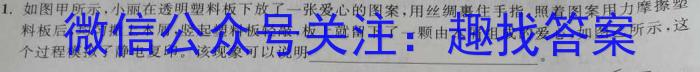 贵州省2024年初中学业水平考试全真模拟试卷（二）物理`