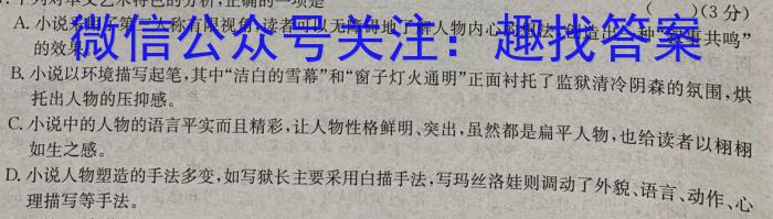 青桐鸣2024年普通高等学校招生全国统一考试 青桐鸣押题卷二语文