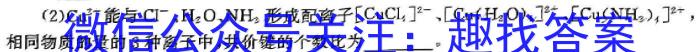 2024-2025学年第一学期甘肃省武威九中九年级开学考试化学