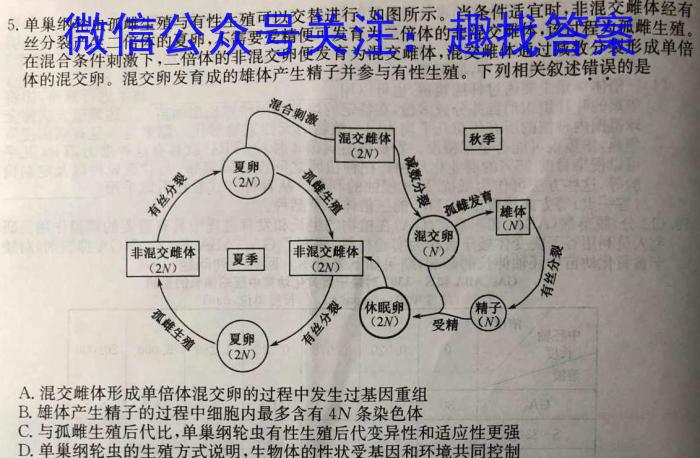 湖南省2024年上学期高二期末调研考试生物学试题答案