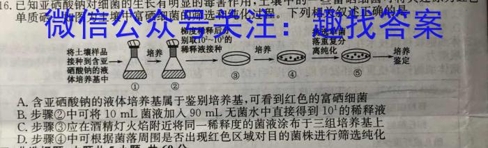 湖北省2024年春"荆、荆、襄、宜四地七校考试联盟"高二期中联考生物学试题答案