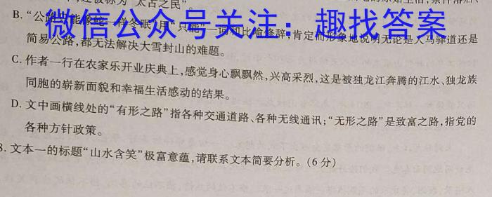 2024届河南省中考导向总复习试卷（四）语文