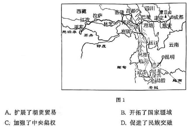 2024届陕西省第九次模拟考试历史