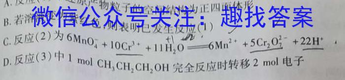 【精品】[启光教育]2024年普通高等学校招生全国统一模拟考试 新高考(2024.5)化学