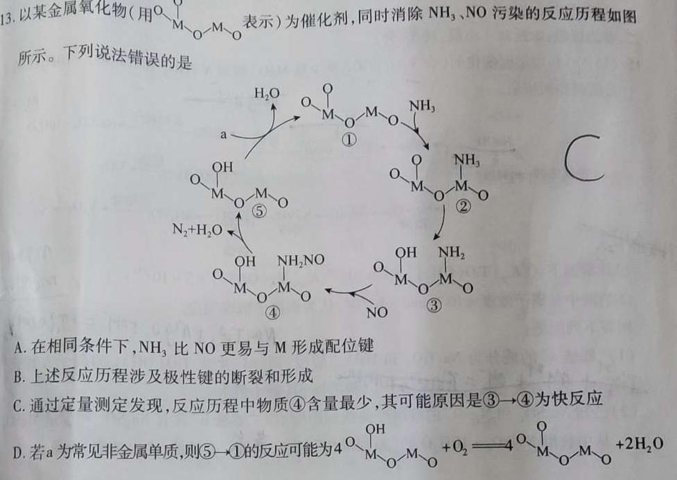 1安徽省2024年凤台九年级三月质量检测化学试卷答案