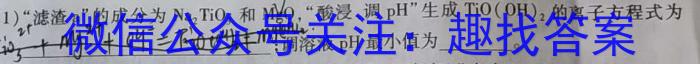 q江西省2024年九年级中考总复习模拟卷（一）化学