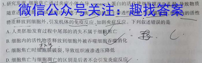 1号卷·A10联盟2025届高二上学期9月开学摸底考生物学试题答案