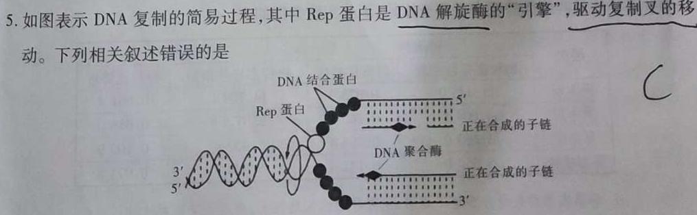 九师联盟·河南省2023-2024学年第二学期高二期末联考生物