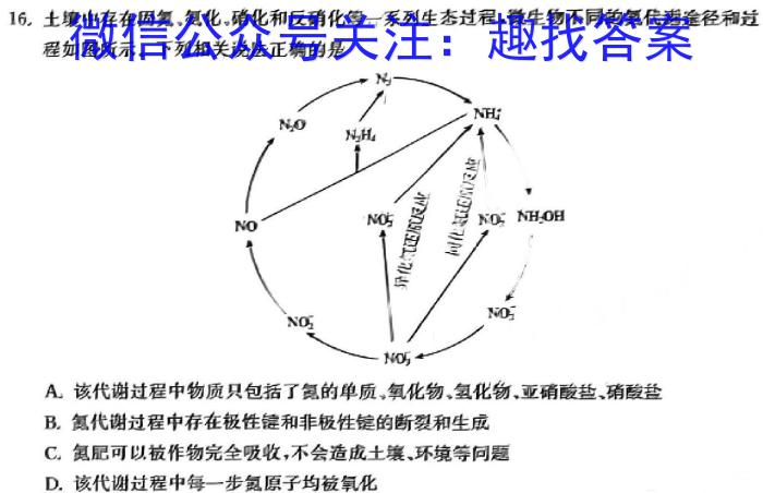 湖北省“腾·云”联盟2024-2025学年度上学期12月联考（高二）化学