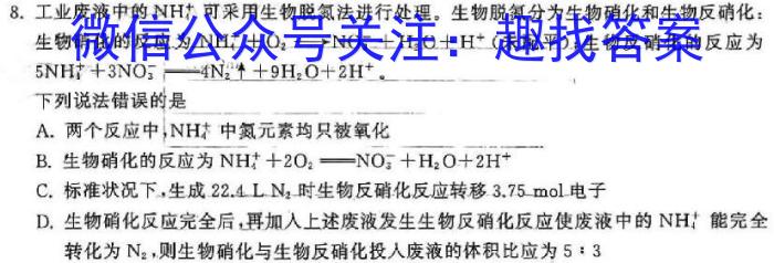 广东省2023-2024学年度高二第一学期期末教学质量检测(303B)化学