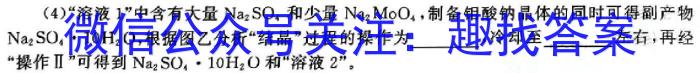 洛阳一高2024-2025学年度高二（上）开学摸底考化学