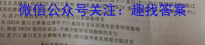 河北省宣化区2023-2024学年度第二学期八年级期末考试生物学试题答案