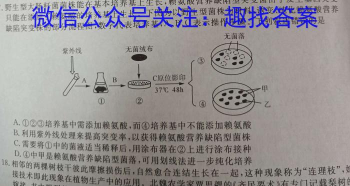 2023-2024学年度高三名校联考仿真模拟(9170C)生物学试题答案