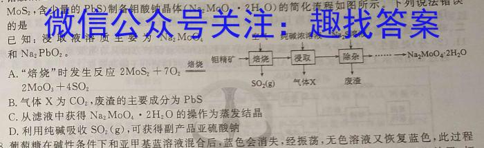 【精品】安徽省2024年九年级阶段调研（5.8）化学