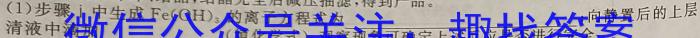 【精品】2024届广东省高州市高考适应性考试(24509C)化学