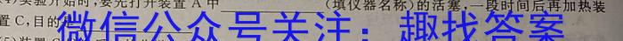 【精品】安徽省滁州市2024年九年级4月二模考试（104）化学