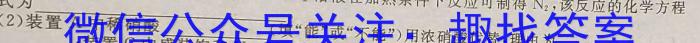 安徽省蚌埠市二十六中2024年七年级入学模拟测试化学