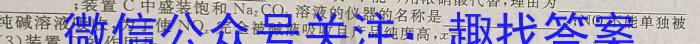 b陕西省西安市西咸新区2023-2024学年度七年级第二学期期末质量监测化学