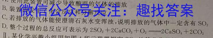 q2024届河南省安阳市九年级初中毕业班中考适应性测试化学