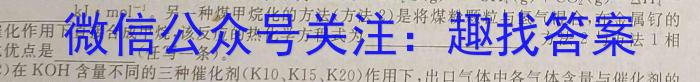 江苏省常州市第一中学2023-2024学年高三第二学期期初检测卷化学