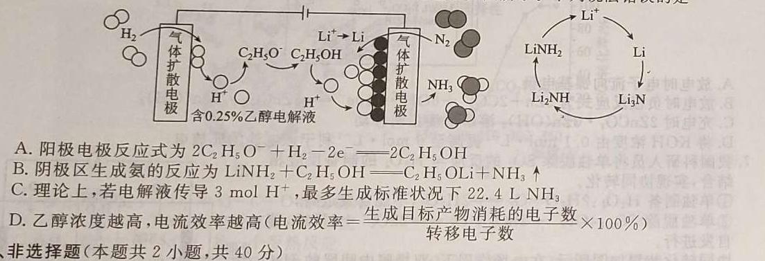 【热荐】2024年河北省初中毕业生升学文化课模拟测评（九）化学