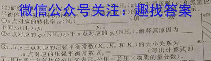 2024河南中考学业备考全真模拟试卷(22)化学