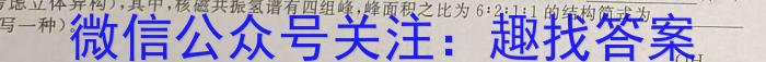 2中考必杀技 2024年河南省普通高中招生考试A卷化学