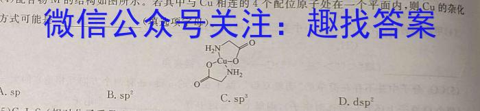 山西省2024年九年级下学期4月适应性考试（4.29）化学