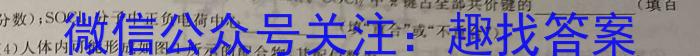 【精品】真题密卷 2024年学科素养月度测评(五)5化学