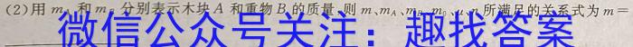 江西省2024年初中学业水平考试冲刺卷(BC)[J区专用](三)3物理试卷答案