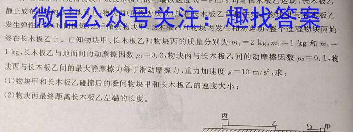 九师联盟·河南省2023-2024学年第二学期高一期末联考物理试题答案