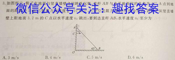 2024届雅礼中学高三热身训练物理试卷答案