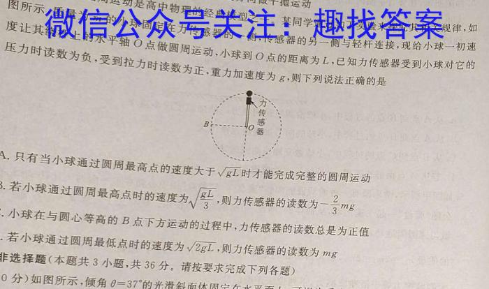 黑龙江省2024年核心素养考察模拟测试（二）物理试卷答案