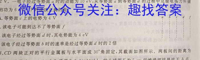 2024年河南省重点中学内部模拟试卷（二）物理