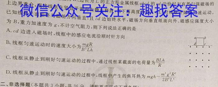 河南省2023-2024学年九年级考前模拟试卷q物理