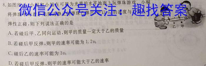 安徽省2024年九年级教学质量检测(CZ147c)物理试卷答案