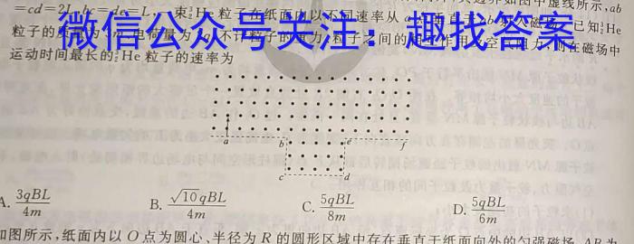 梅州市高三总复习质检试卷(2024.2)物理试卷答案