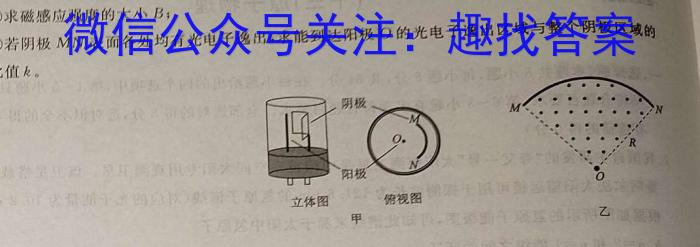 九师联盟·河南省2023-2024学年第二学期高二期末联考物理试题答案