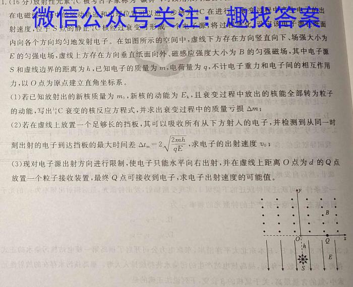 Z20名校联盟（浙江省名校新高考研究联盟）2024届高三第三次联考物理试卷答案