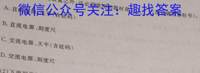 2024年全国100所名校高三月考卷（三）物理试卷答案