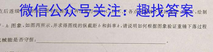 安徽省2024年初中毕业学业考试模拟试卷2024.3物理`